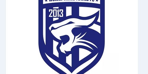 开云官网-武汉足管中心披露三镇俱乐部股改进展：净资产评估已完成